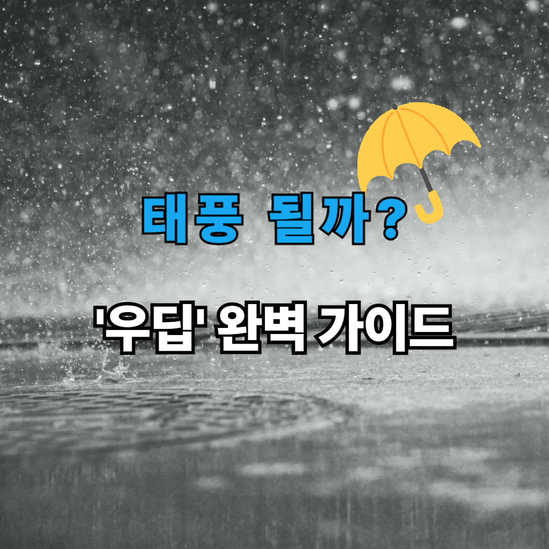 첫 태풍 우딥