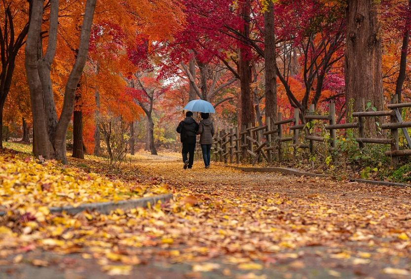 가을의 낭만이 물든 풍경