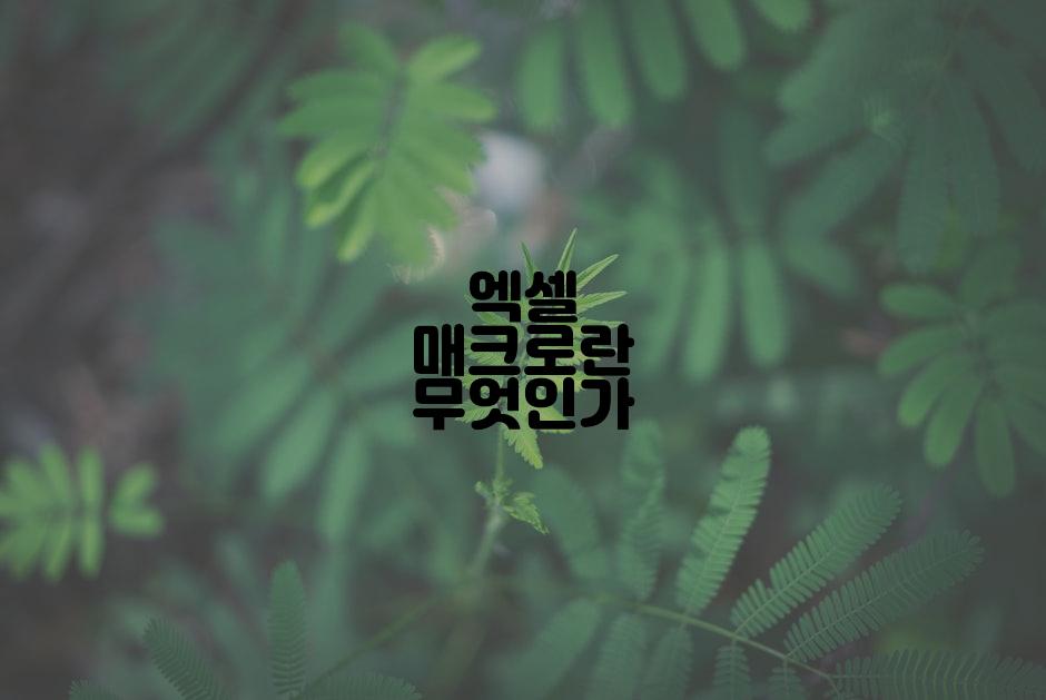 엑셀 매크로란 무엇인가