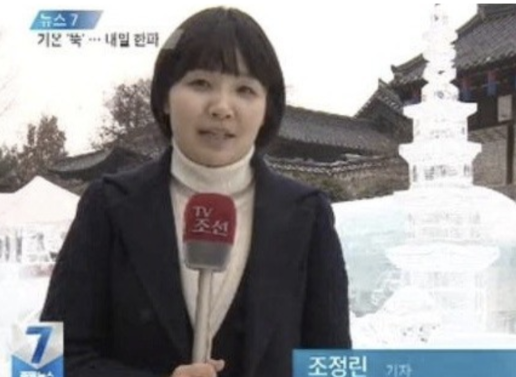 조정린 기자 활동