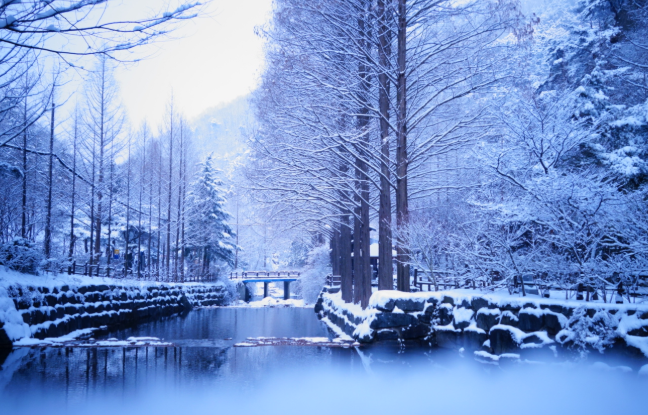 장태산 휴양림의 겨울