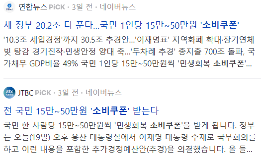 소비쿠폰 관련 기사들