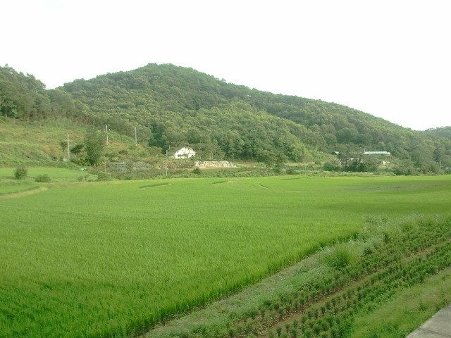 공익직불금 신청