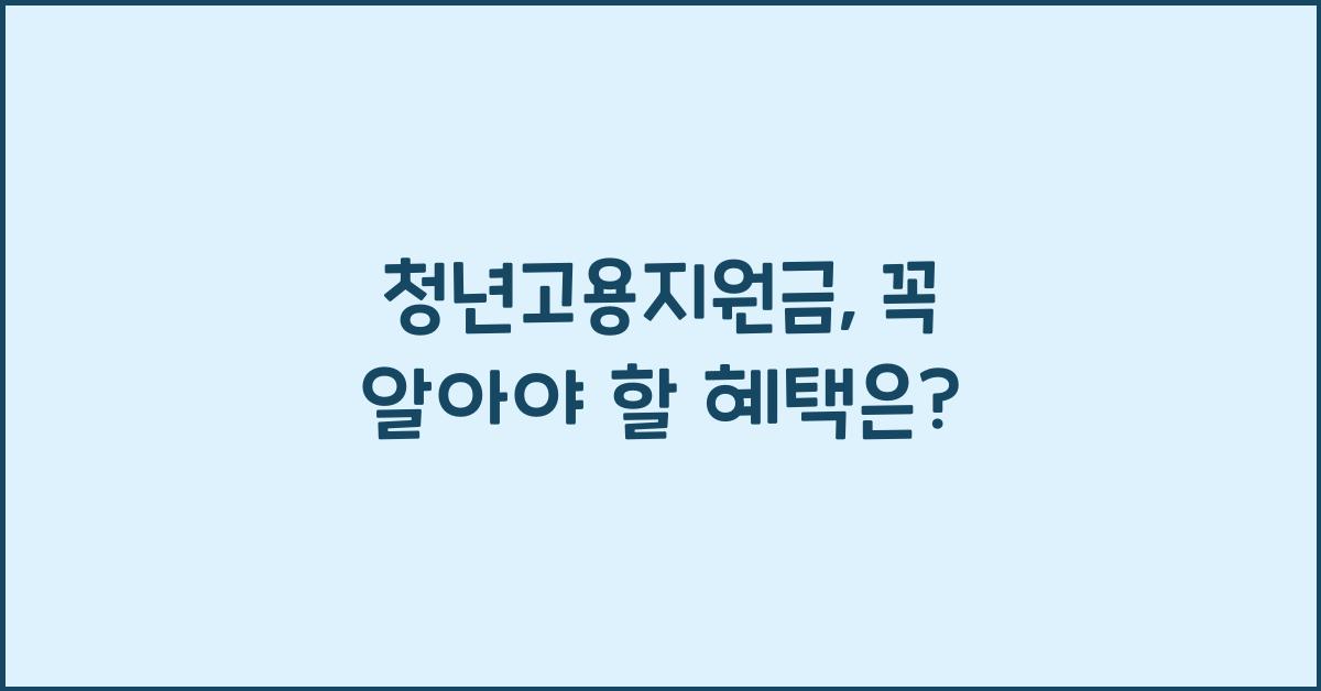 청년고용지원금