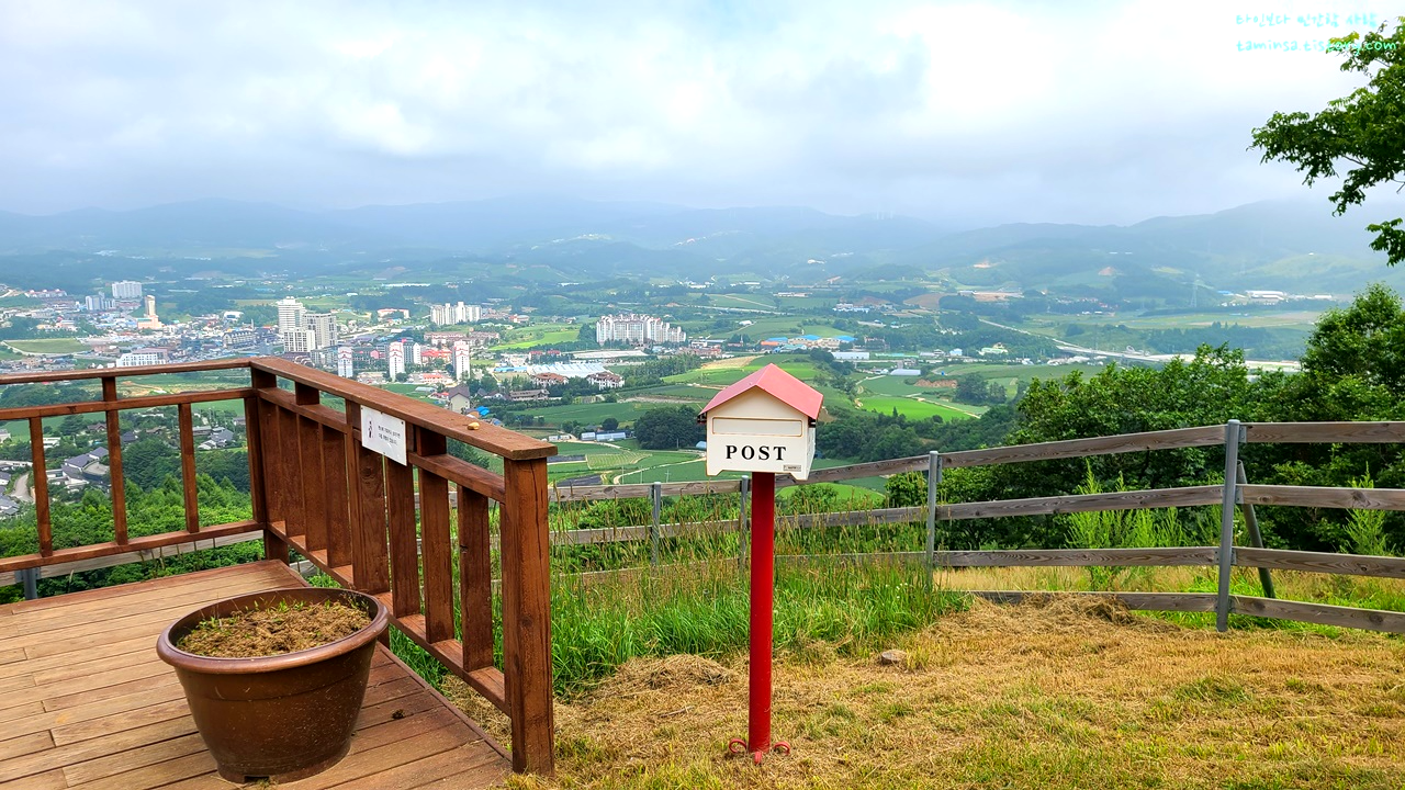 대관령-순수양떼목장-하늘전망대