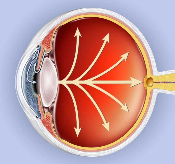 안압 낮추는법 12가지 및 안압 높을때 증상과 정상수치 총정리