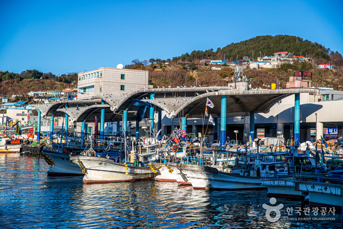 동해 가볼만한곳 - 묵호항