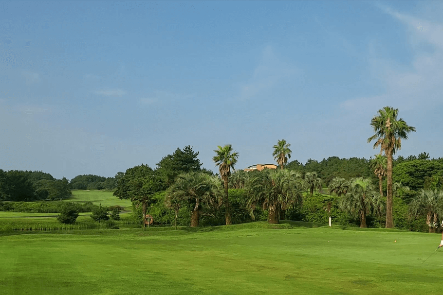 해비치제주CC 야자수전경