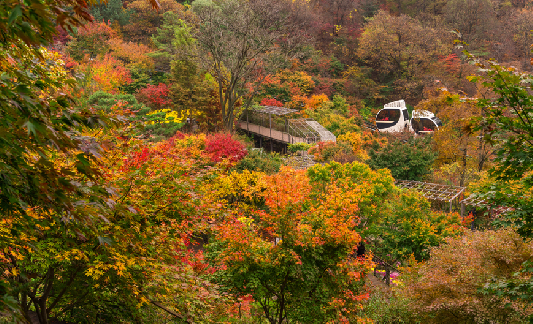 출처 : 화담숲 홈페이지14