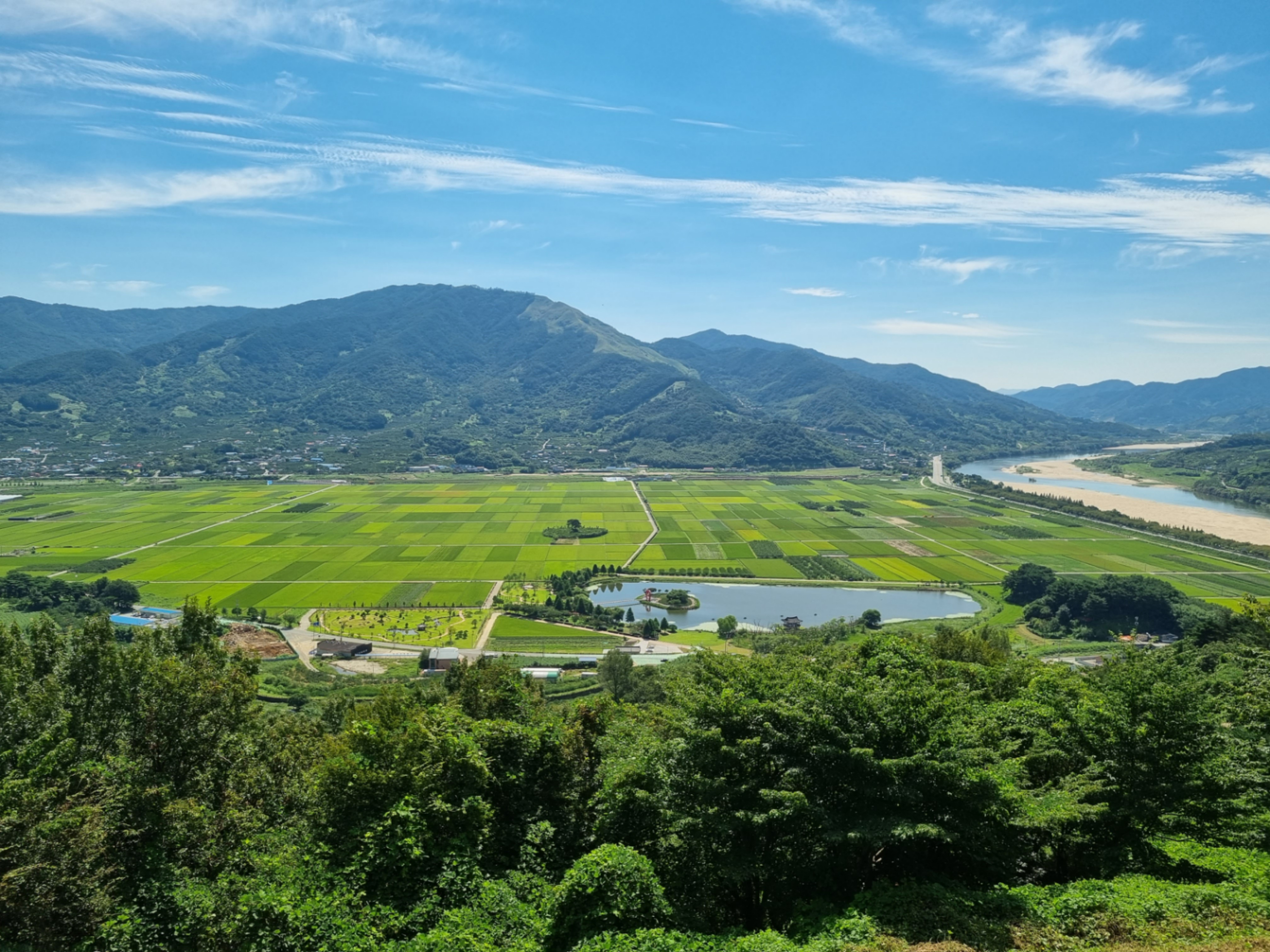 평사리 들판 사진 ('23.9)