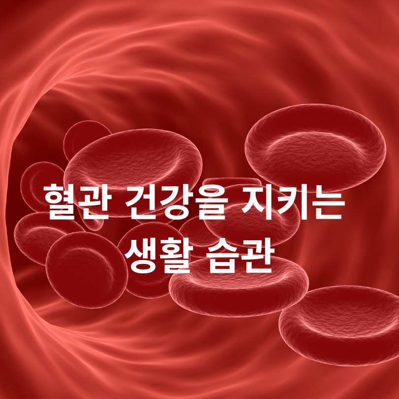 혈관청소에 좋은 음식 BEST 10 