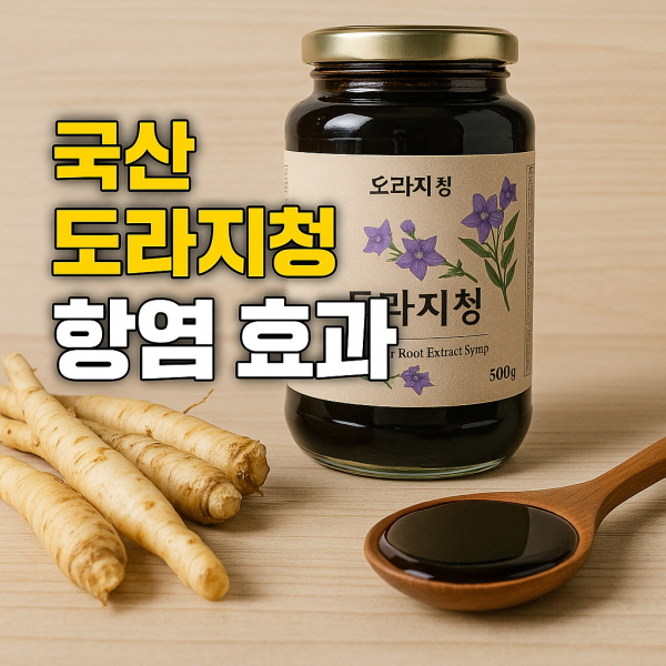 도라지청 /gpt