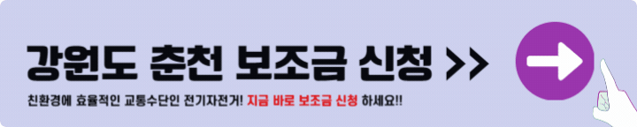 춘천 전기자전거 보조금