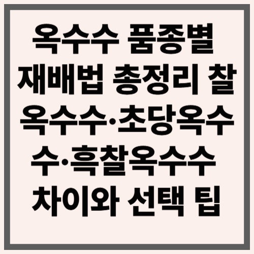 옥수수 품종별 재배법 총정리｜찰옥수수·초당옥수수·흑찰옥수수 차이와 선택 팁