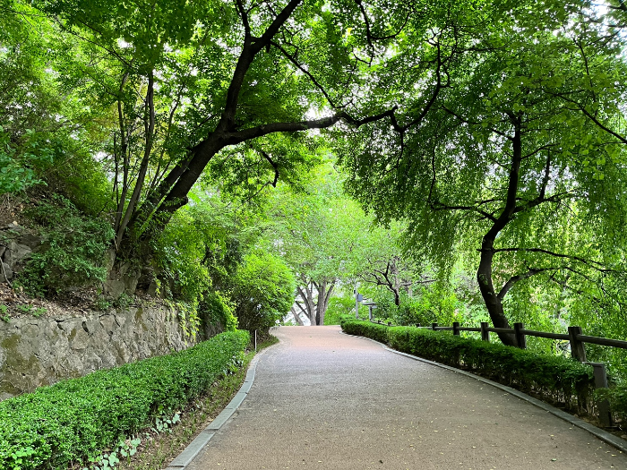 남산 등산코스 모습