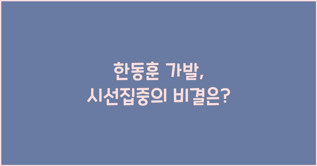한동훈 가발