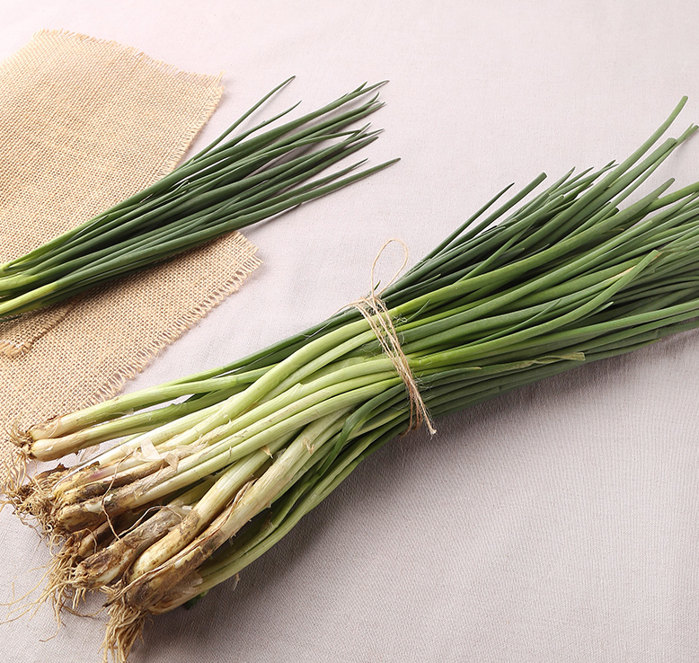 파김치-재료-쪽파