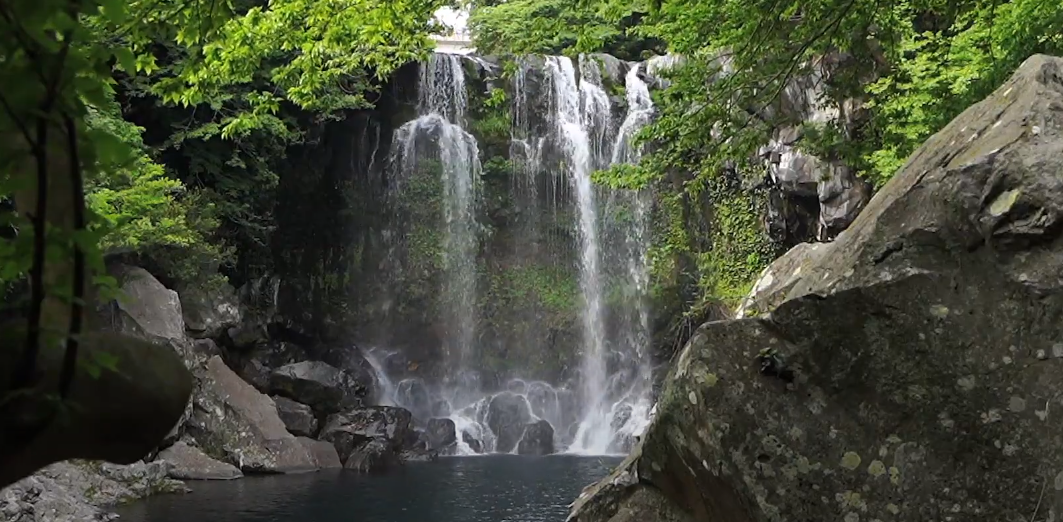 천제연 폭포에서 흘로 오는 물을 이용해 불모지를 논으로 만들어 마을인들의 삶을 영위할 수 있도록 만들었다는 역사가 있습니다. 