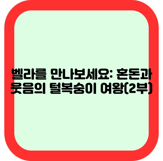 벨라를 만나보세요: 혼돈과 웃음의 털복숭이 여왕(2부)