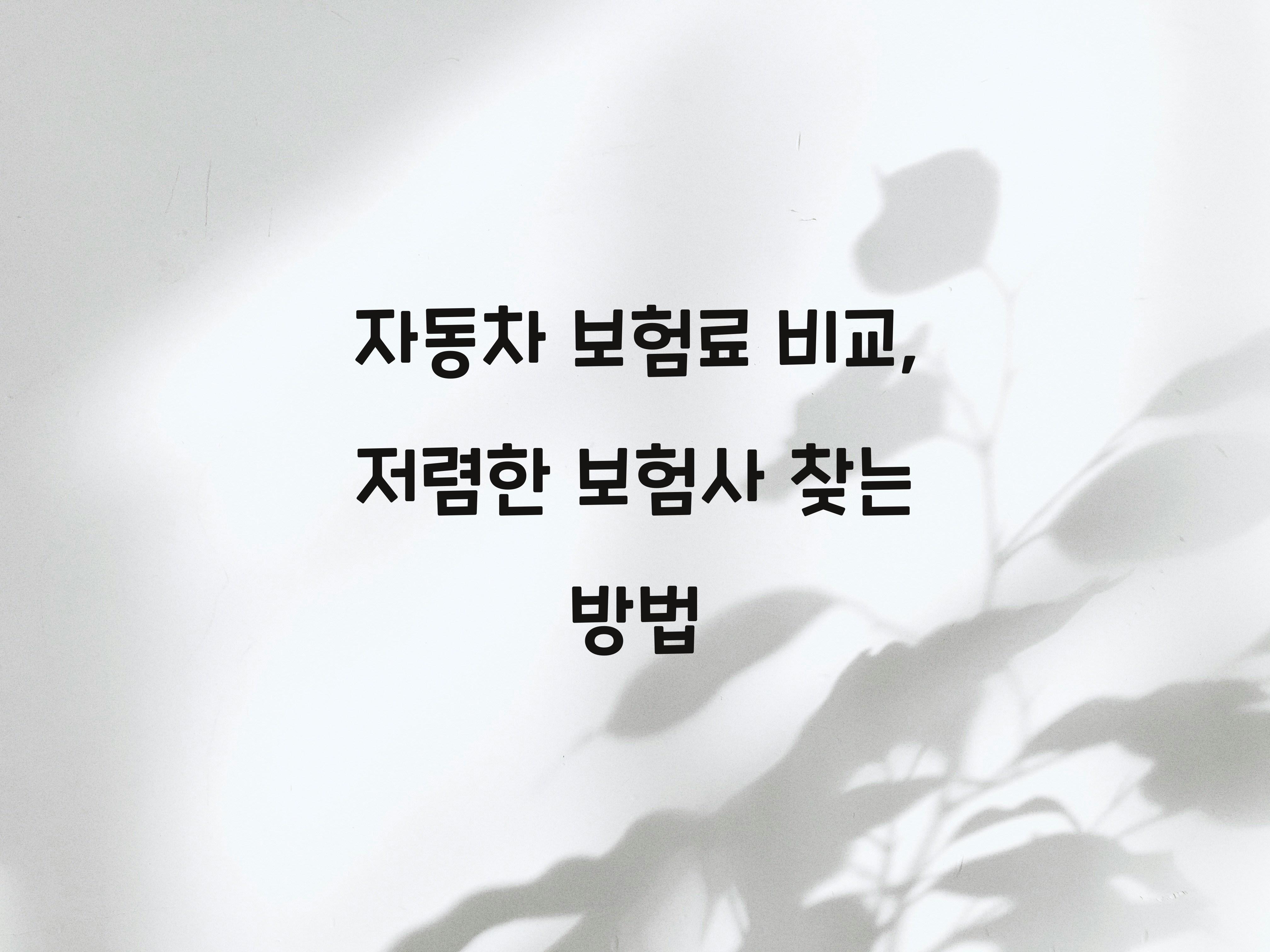 자동차 보험료 비교