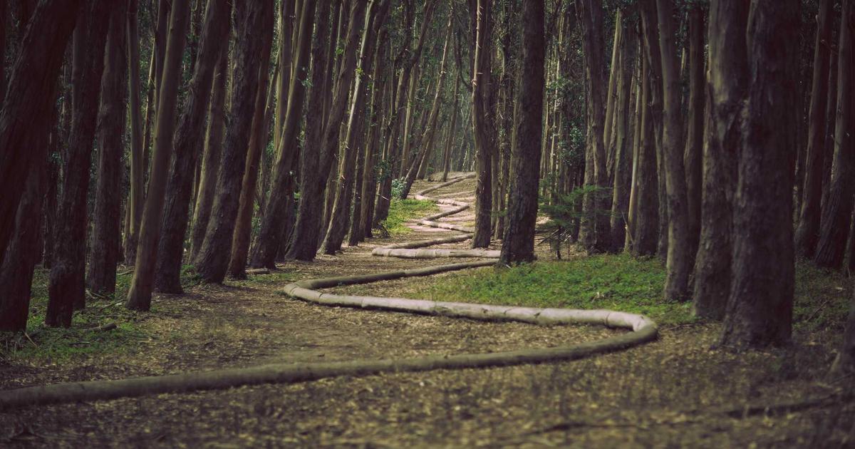 young couple happily looking at laptop in a bright, modern living room, discussing finances