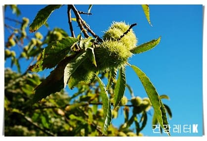 밤 18