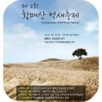 서울 억새축제 2025 일정위치 총정리로 안내_10