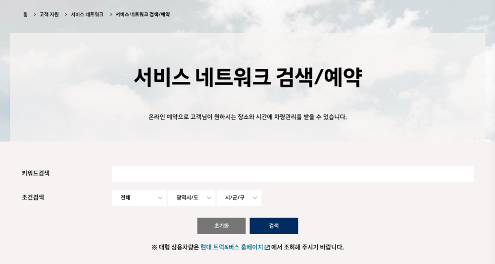 현대자동차 블루핸즈