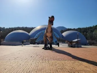 보성 가볼만한곳 베스트10 현지인 추천 필수코스_17
