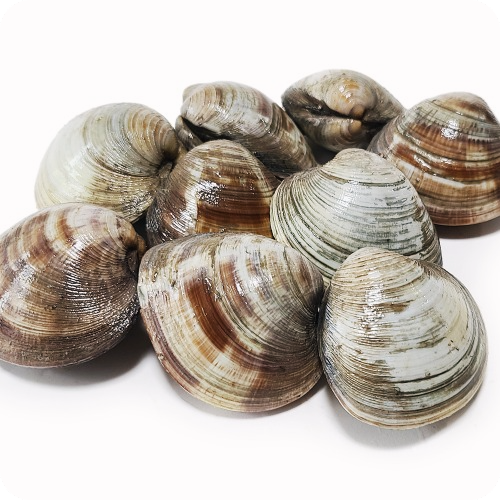 칼륨이-많은-음식