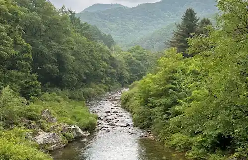 평창 허브나라 농원 이미지 02