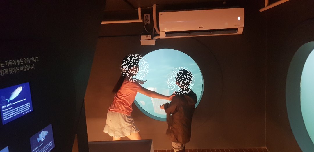 제주도 잠수함카페 카페더씨