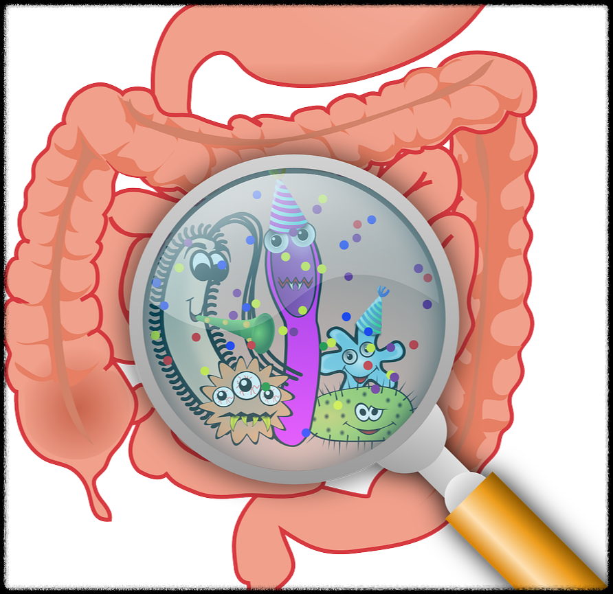 장 내 미세염증’ 잡아야 건강하다