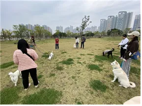 중구 반려견 산책 교실