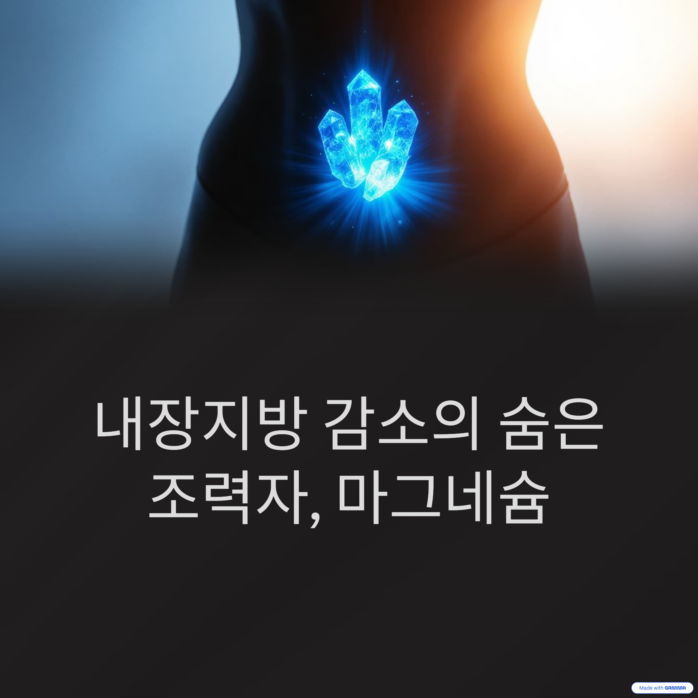 내장지방 줄이는 마그네슘 섭취법
