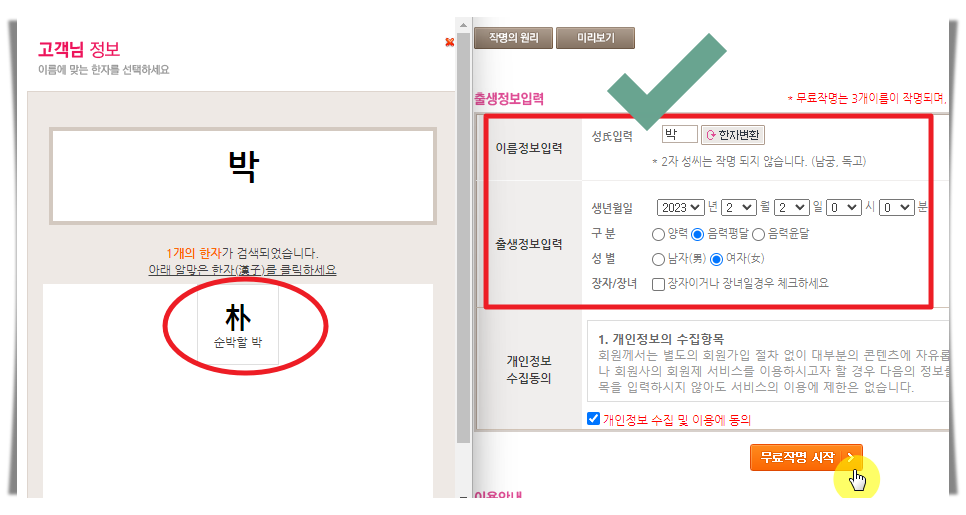 작명을 위한 정보 입력