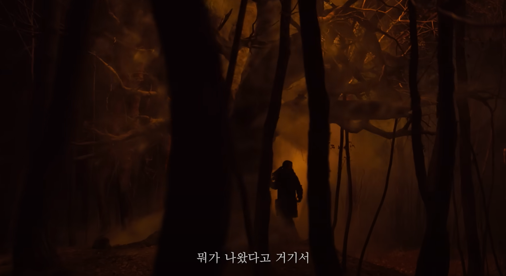 파묘(破墓)