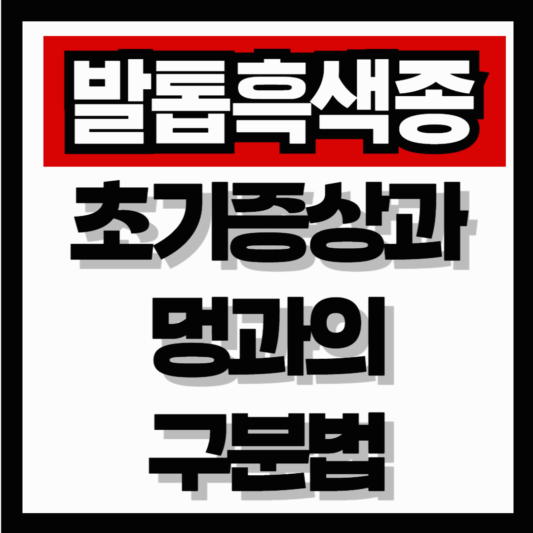 발톱흑색종 초기증상과 멍과의 구분법|놓치면 위험한 발톱 변화