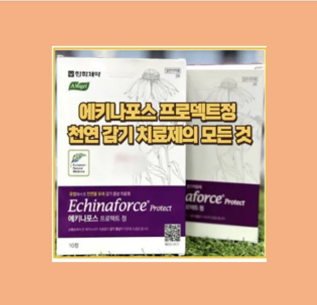에키나포스 프로텍트정