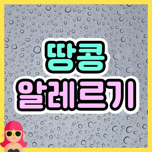 섬네일 땅콩 알레르기