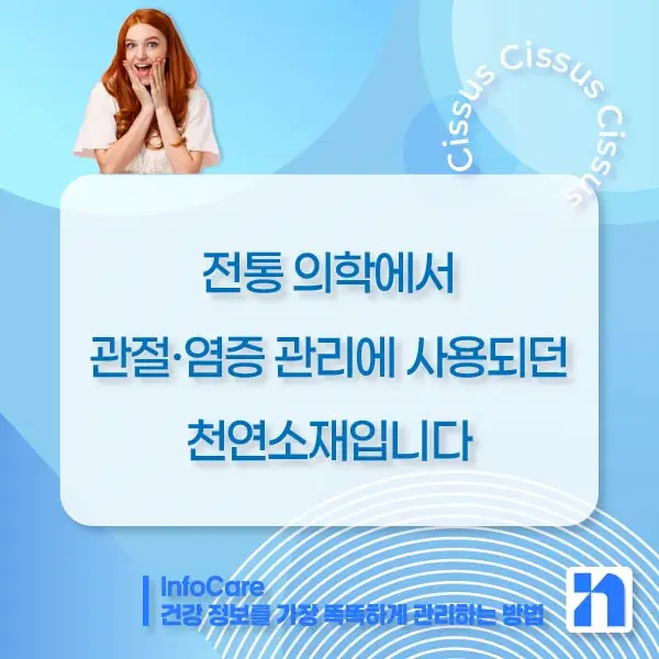 시서스 효능