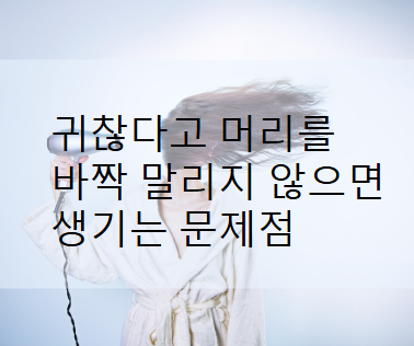 머리 바짝 말리기
