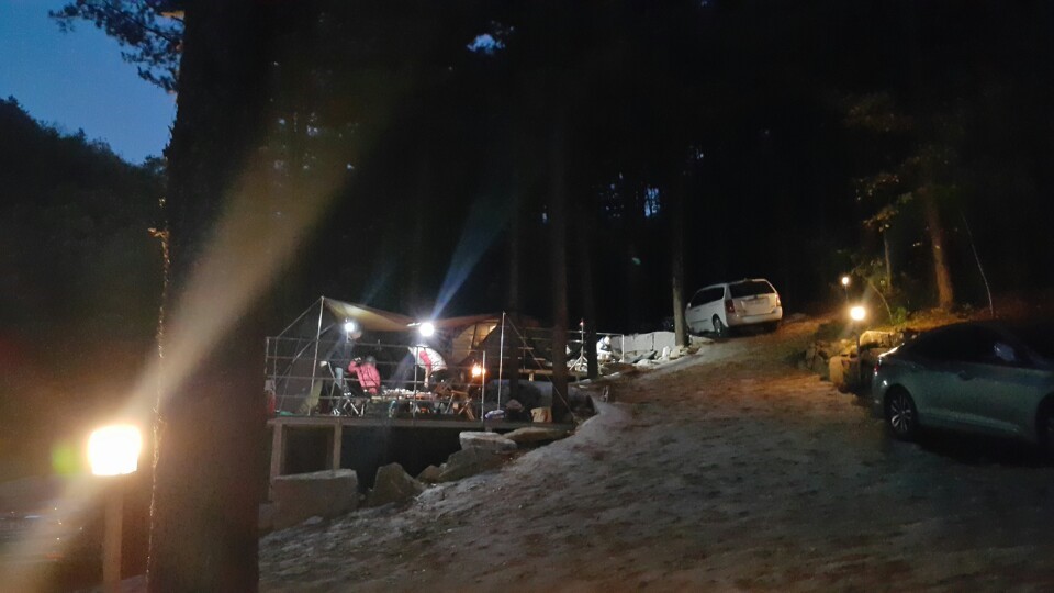 나무새캠핑장 (애견동반가능)