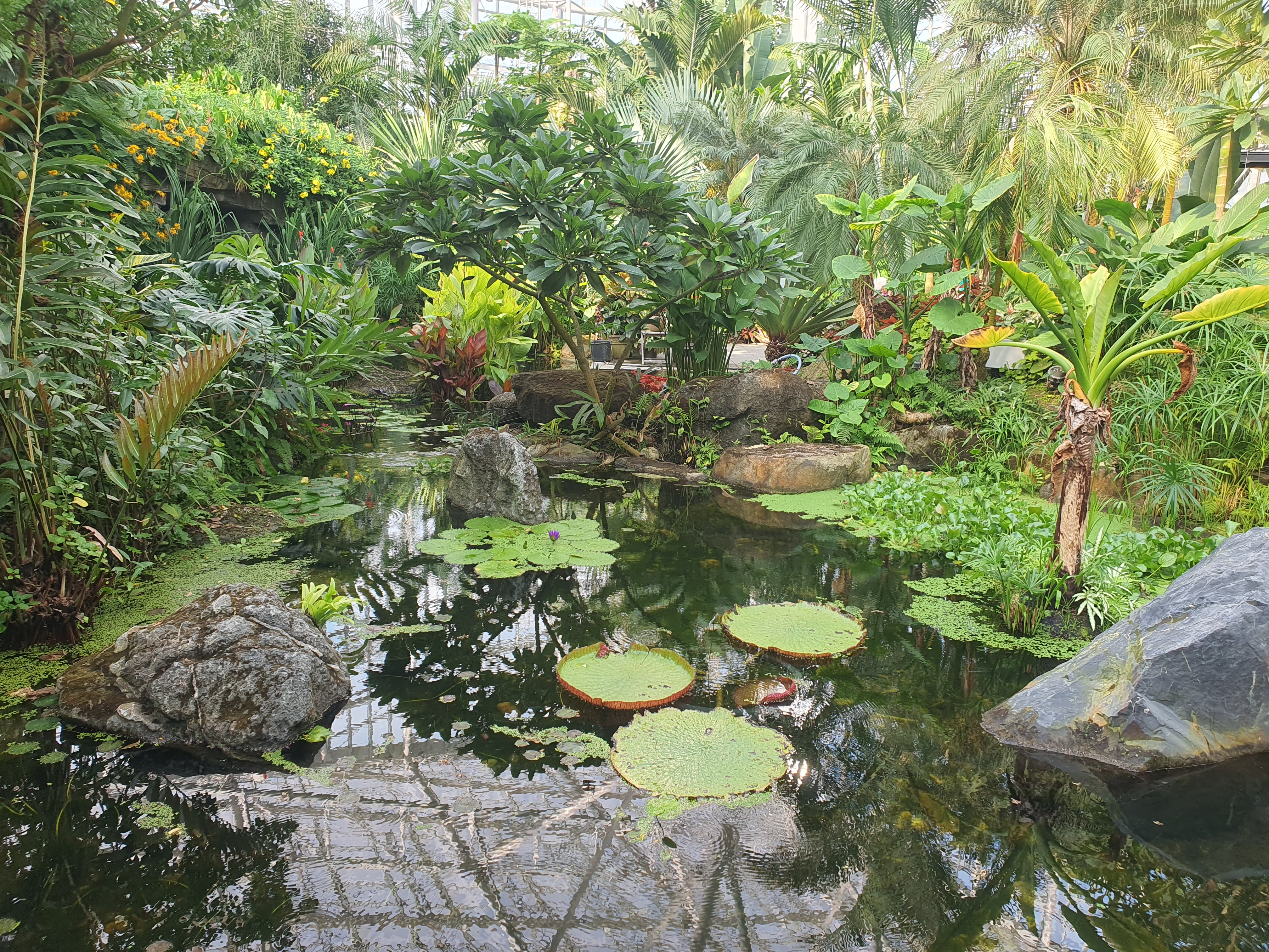 국립세종수목원 이용 안내 추천 코스 주제 전시원