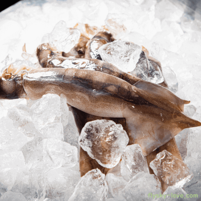 맛과 영양이 풍부한 오징어