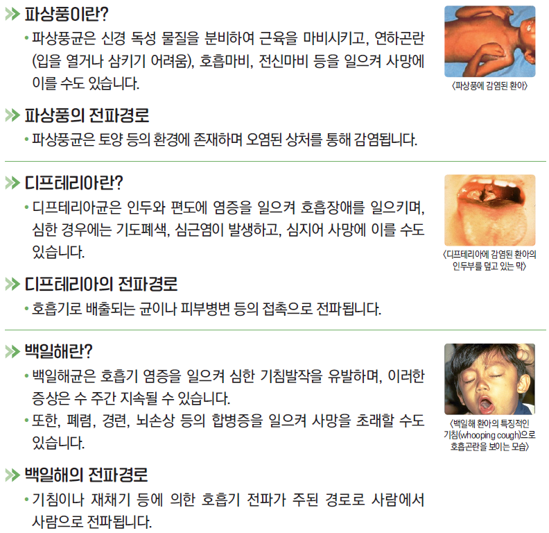 파상풍 / 디프테리아 / 백일해 감염병 정보