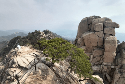 신선대13