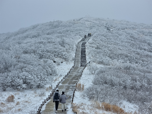 전남 겨울 명소 추천, 자연·설경·섬·트레킹 BEST 4