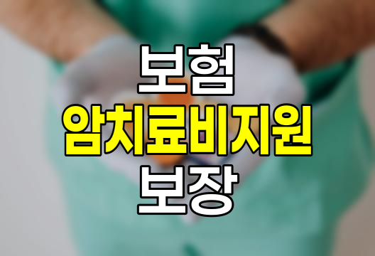 암치료비지원 보험 상세 분석, 약관, 보장 범위, 필요성