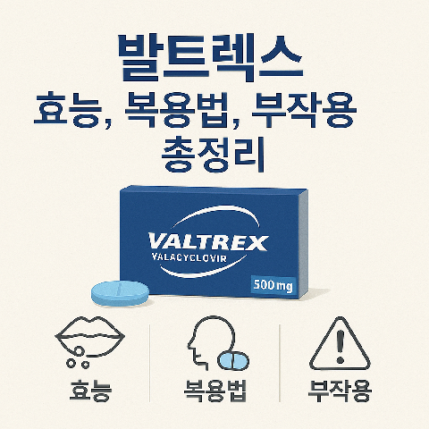 발트렉스 효능, 복용법, 부작용 총정리